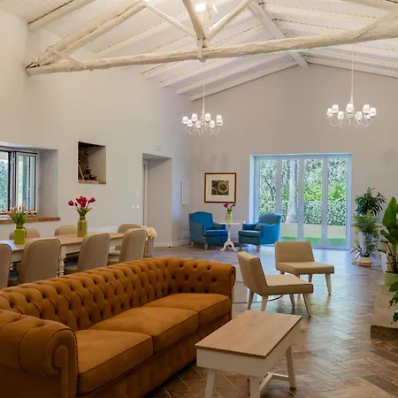 Camma With Private Pool Guest house